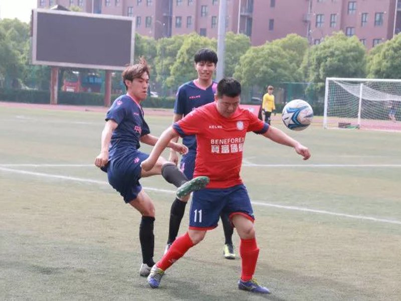 了解买球站